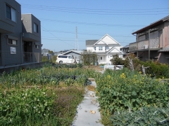 売土地 半田市柊町5丁目 成約済