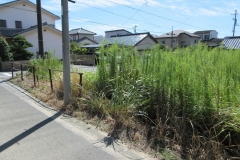 売土地 半田市亀崎高根町6丁目 3号地 全3区画